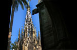 la Catedral