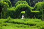 Labyrinth im Park